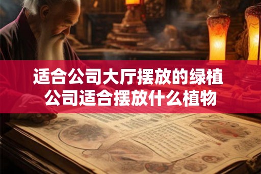 适合公司大厅摆放的绿植 公司适合摆放什么植物