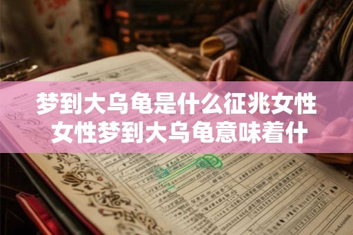梦到大乌龟是什么征兆女性 女性梦到大乌龟意味着什么