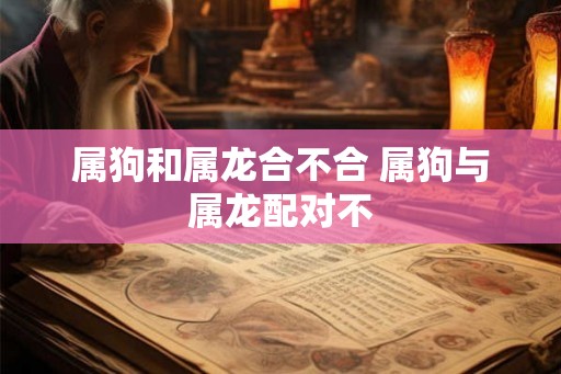 属狗和属龙合不合 属狗与属龙配对不