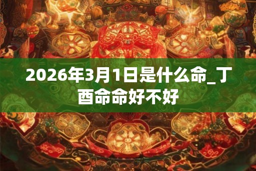 2026年3月1日是什么命_丁酉命命好不好