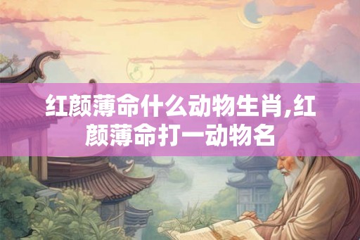 红颜薄命什么动物生肖,红颜薄命打一动物名