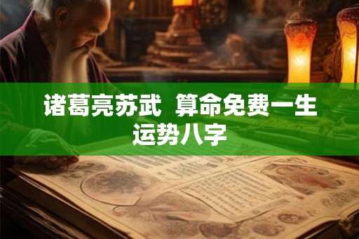 诸葛亮苏武  算命免费一生运势八字