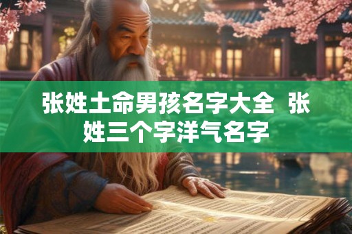 张姓土命男孩名字大全 张姓三个字洋气名字 张姓土命男孩名字大全 张姓三个字洋气名字