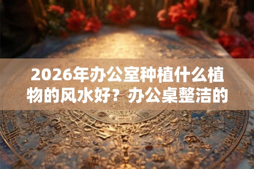 2026年办公室种植什么植物的风水好？办公桌整洁的风水好吗？