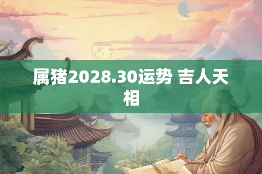属猪2028.30运势 吉人天相