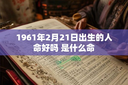 1961年2月21日出生的人命好吗 是什么命