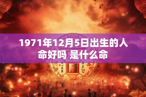 1971年12月5日出生的人命好吗 是什么命