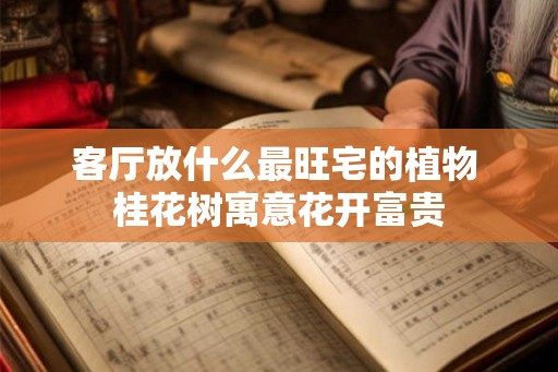 客厅放什么最旺宅的植物 桂花树寓意花开富贵
