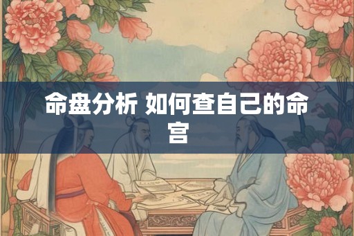 命盘分析 如何查自己的命宫 命盘分析 如何查自己的命宫