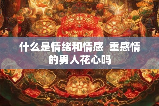 什么是情绪和情感  重感情的男人花心吗