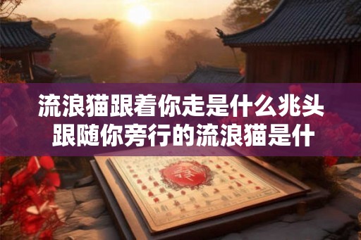 流浪猫跟着你走是什么兆头 跟随你旁行的流浪猫是什么预兆 流浪猫跟着你走是什么兆头 跟随你旁行的流浪猫是什么预兆
