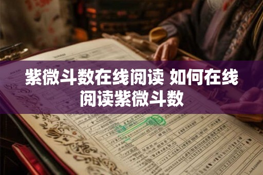 紫微斗数在线阅读 如何在线阅读紫微斗数