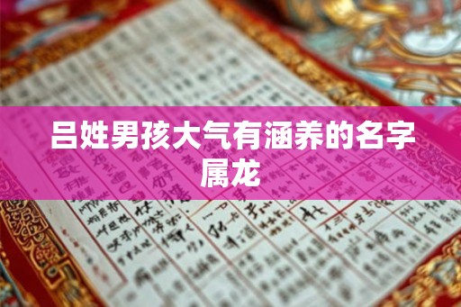 吕姓男孩大气有涵养的名字属龙