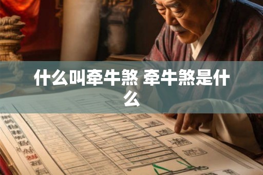 什么叫牵牛煞 牵牛煞是什么 什么叫牵牛煞 牵牛煞是什么