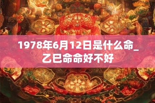 1978年6月12日是什么命_乙巳命命好不好