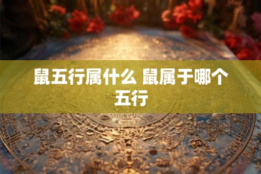 鼠五行属什么 鼠属于哪个五行 鼠五行属什么 鼠属于哪个五行