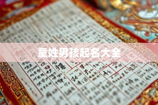 童姓男孩起名大全