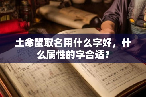 土命鼠取名用什么字好，什么属性的字合适？