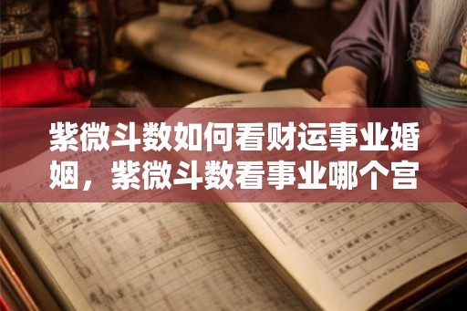 紫微斗数如何看财运事业婚姻，紫微斗数看事业哪个宫