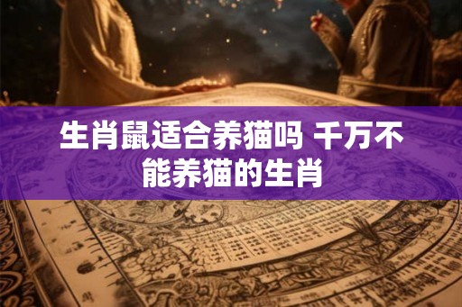 生肖鼠适合养猫吗 千万不能养猫的生肖 生肖鼠适合养猫吗 千万不能养猫的生肖