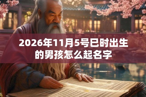 2026年11月5号巳时出生的男孩怎么起名字