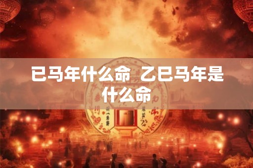 已马年什么命  乙巳马年是什么命