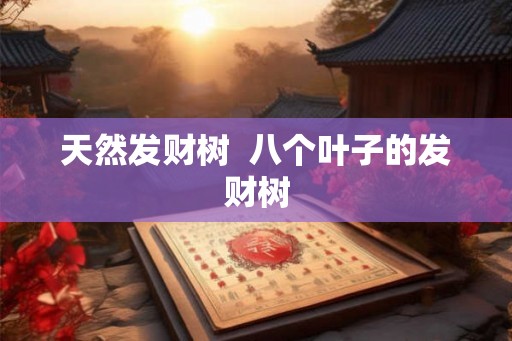 天然发财树  八个叶子的发财树
