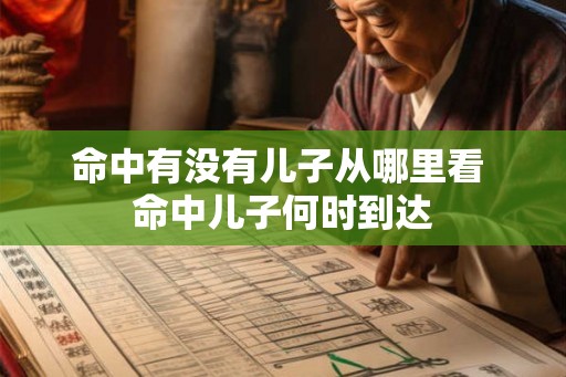 命中有没有儿子从哪里看 命中儿子何时到达