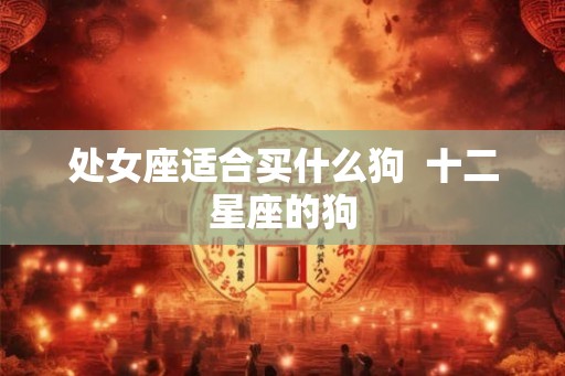 处女座适合买什么狗  十二星座的狗