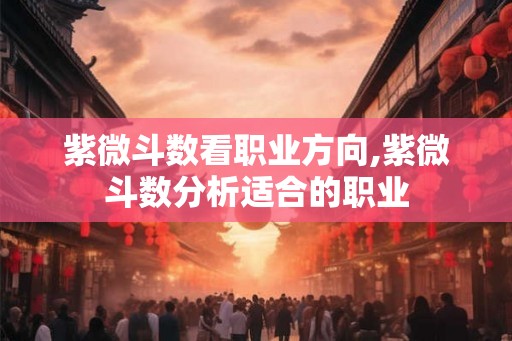 紫微斗数看职业方向,紫微斗数分析适合的职业