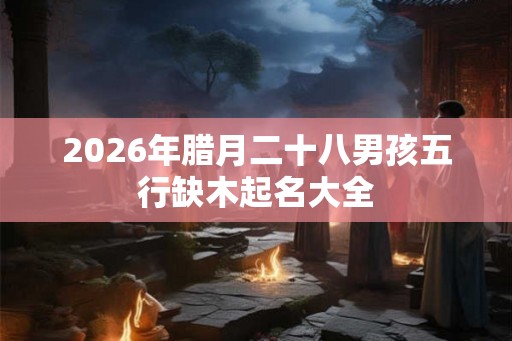 2026年腊月二十八男孩五行缺木起名大全