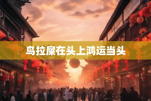 鸟拉屎在头上鸿运当头