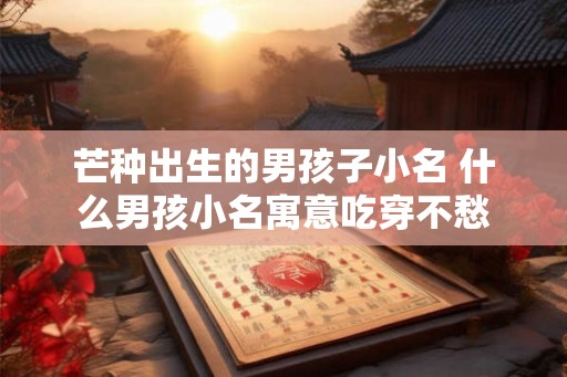 芒种出生的男孩子小名 什么男孩小名寓意吃穿不愁 芒种出生的男孩子小名 什么男孩小名寓意吃穿不愁