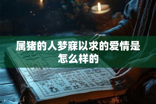 属猪的人梦寐以求的爱情是怎么样的
