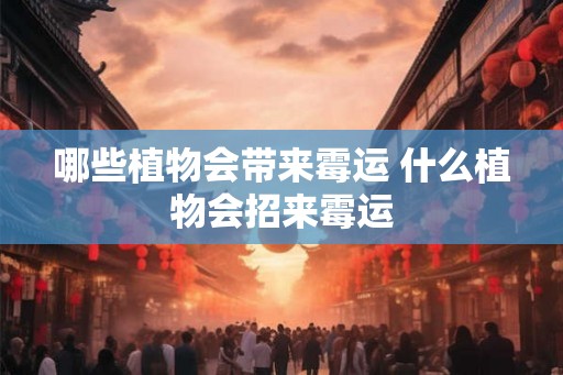 哪些植物会带来霉运 什么植物会招来霉运 哪些植物会带来霉运 什么植物会招来霉运