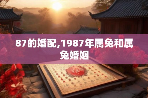 87的婚配,1987年属兔和属兔婚姻