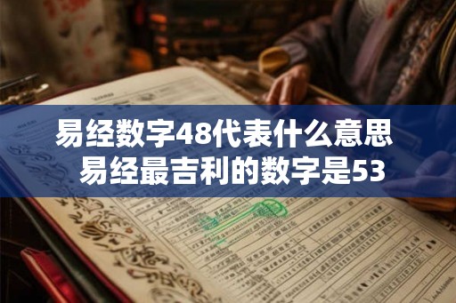 易经数字48代表什么意思  易经最吉利的数字是53