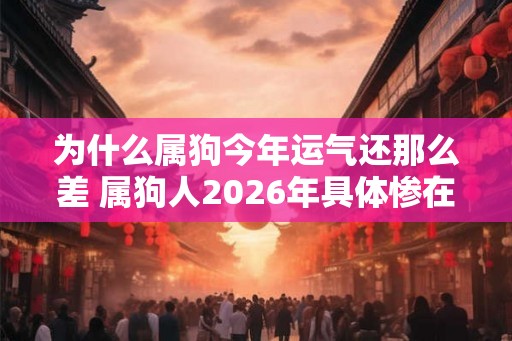 为什么属狗今年运气还那么差 属狗人2026年具体惨在哪方面