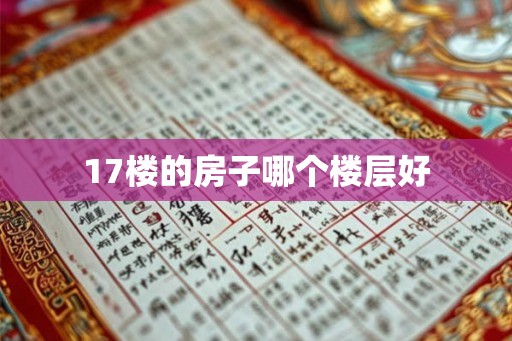 17楼的房子哪个楼层好