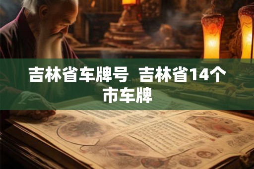 吉林省车牌号 吉林省14个市车牌 吉林省车牌号 吉林省14个市车牌