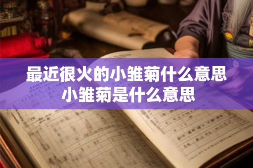 最近很火的小雏菊什么意思 小雏菊是什么意思