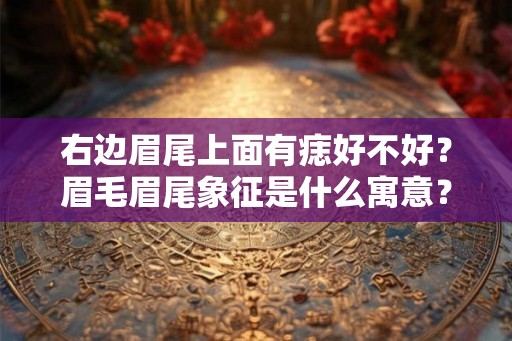 右边眉尾上面有痣好不好？眉毛眉尾象征是什么寓意？
