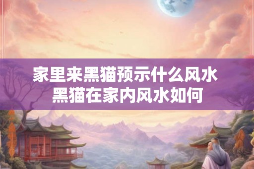 家里来黑猫预示什么风水 黑猫在家内风水如何