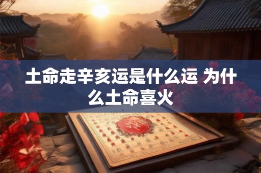 土命走辛亥运是什么运 为什么土命喜火