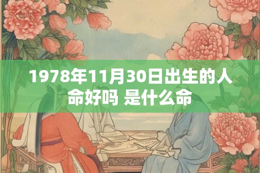 1978年11月30日出生的人命好吗 是什么命