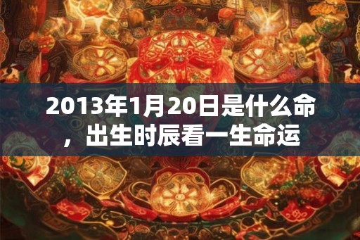 2013年1月20日是什么命，出生时辰看一生命运