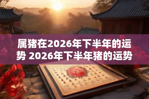 属猪在2026年下半年的运势 2026年下半年猪的运势如何