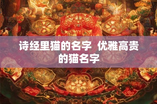 诗经里猫的名字  优雅高贵的猫名字