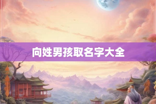 向姓男孩取名字大全