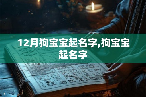 12月狗宝宝起名字,狗宝宝起名字